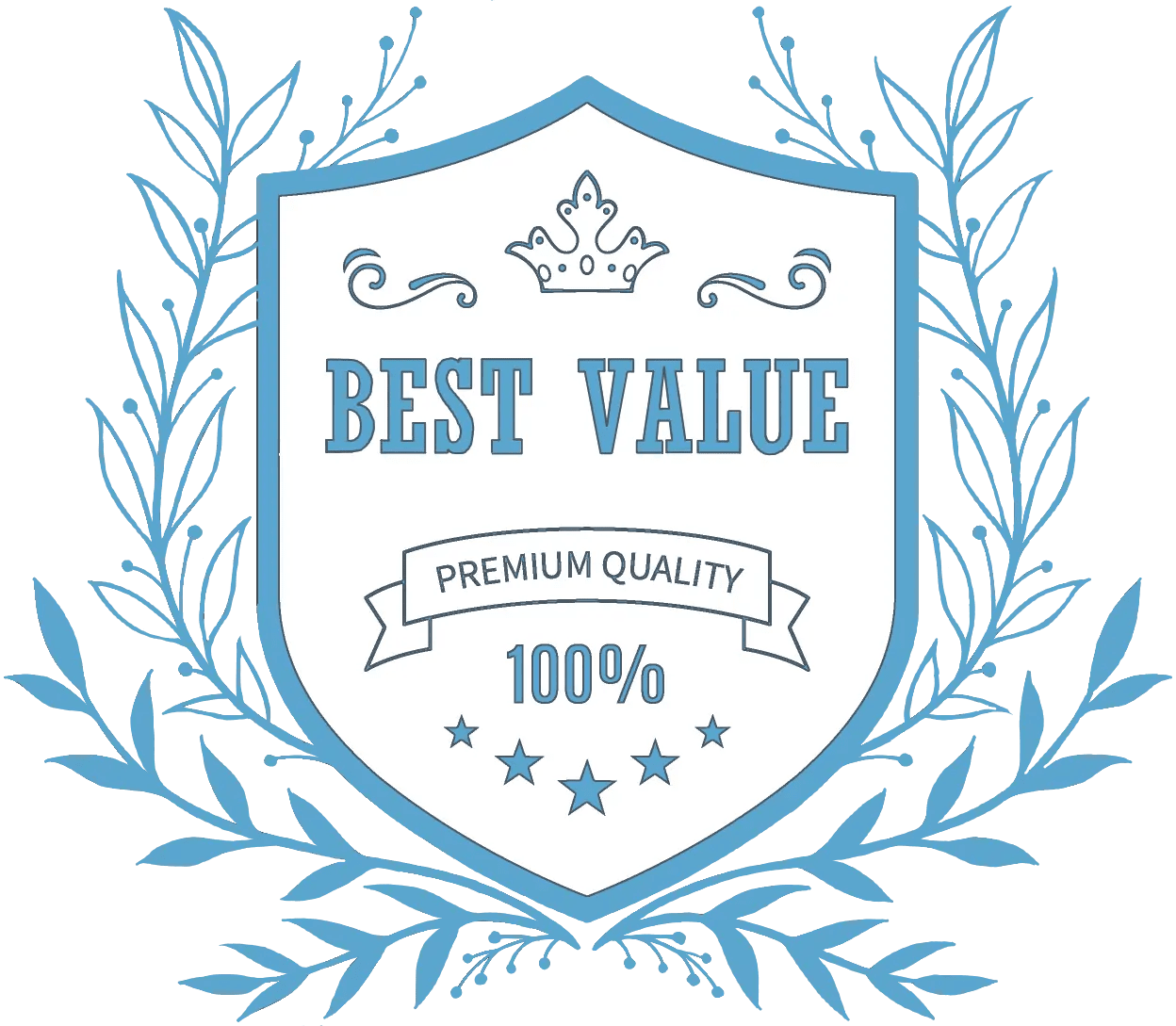 a fancy badge that says 'BEST VALUE', indicating that the following price package is the best value